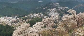 奈良と高野山のアクセス　奈良の空海ゆかりのお寺って