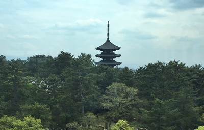 京都から奈良公園への電車でのアクセス　時間と料金は