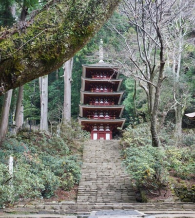室生寺のランチおすすめは橋本屋だけじゃありません。榛原駅前や宇陀・松山地区って