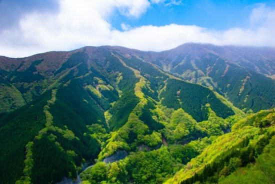 ナメゴ谷の紅葉の見頃と行き方、ナメゴ谷はなぜ生まれたの？桜の見ごろは